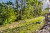 19 Ceylon Close, Cameron Park, NSW 2285-Image