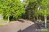 19 Ceylon Close, Cameron Park, NSW 2285-Image