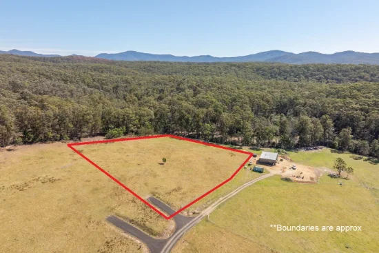 19 Eucalyptus Lane, Lochiel, NSW 2549