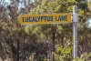 19 Eucalyptus Lane, Lochiel, NSW 2549-Image