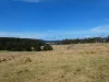 19 Eucalyptus Lane, Lochiel, NSW 2549-Image