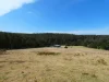 19 Eucalyptus Lane, Lochiel, NSW 2549-Image