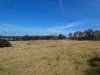 19 Eucalyptus Lane, Lochiel, NSW 2549-Image