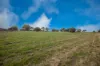 19 Forrest Street, Northampton, WA 6535-Image