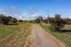 19 Forrest Street, Northampton, WA 6535-Image