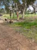 19 Harriott Street, York, WA 6302-Image