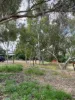 19 Harriott Street, York, WA 6302-Image
