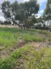 19 Harriott Street, York, WA 6302-Image