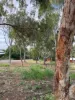 19 Harriott Street, York, WA 6302-Image