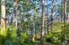 19 Hillcrest Avenue, North Narooma, NSW 2546-Image