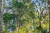 19 Hillcrest Avenue, North Narooma, NSW 2546-Image