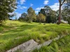 19 Main Road, Weldborough, Tas 7264-Image
