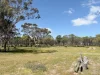 19 Penny Street, Kauring, WA 6302-Image