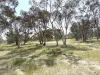 19 Penny Street, Kauring, WA 6302-Image