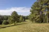 19 Smiths Road, Tinbeerwah, Qld 4563-Image
