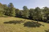 19 Smiths Road, Tinbeerwah, Qld 4563-Image