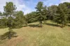 19 Smiths Road, Tinbeerwah, Qld 4563-Image