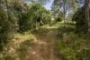 19 Smiths Road, Tinbeerwah, Qld 4563-Image