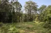 19 Smiths Road, Tinbeerwah, Qld 4563-Image