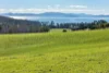 191 Littles Road, Premaydena, Tas 7185