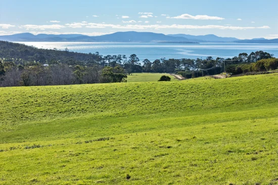 191 Littles Road, Premaydena, Tas 7185