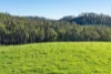 191 Littles Road, Premaydena, Tas 7185-Image