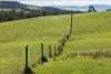 191 Littles Road, Premaydena, Tas 7185-Image