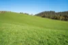 191 Littles Road, Premaydena, Tas 7185-Image