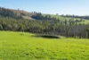 191 Littles Road, Premaydena, Tas 7185-Image