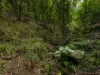 193 Black Range Road, Bega, NSW 2550-Image