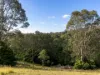 193 Black Range Road, Bega, NSW 2550-Image
