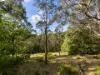 193 Black Range Road, Bega, NSW 2550-Image