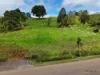 194-196 Catalano Access, Goldsborough, Qld 4865-Image