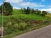 194-196 Catalano Access, Goldsborough, Qld 4865-Image