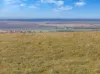 198 Scenic Road, Point Pass, SA 5374-Image