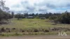 1A Collins Street, Perth, Tas 7300-Image