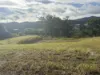 1a Song Trail, Coffs Harbour, NSW 2450