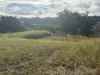 1a Song Trail, Coffs Harbour, NSW 2450-Image