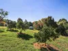 1B John Court, Bairnsdale, Vic 3875-Image