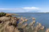 1H Daniel Avenue, Goolwa North, SA 5214-Image
