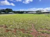 2-4 Nova Close, Atherton, Qld 4883-Image