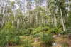 2/500 Resolution Rd, Adventure Bay, Tas 7150