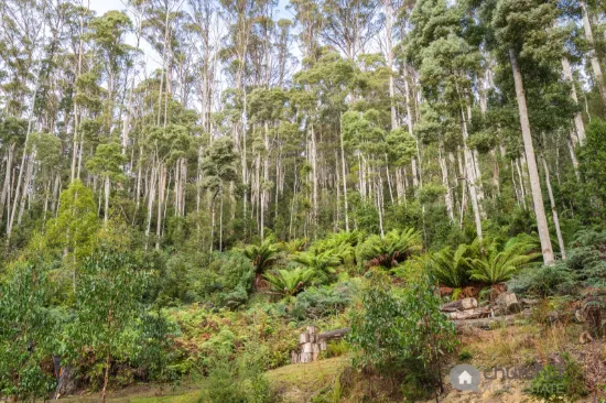 2/500 Resolution Rd, Adventure Bay, Tas 7150