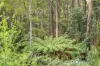2/500 Resolution Rd, Adventure Bay, Tas 7150-Image