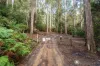 2/500 Resolution Rd, Adventure Bay, Tas 7150-Image