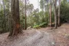 2/500 Resolution Rd, Adventure Bay, Tas 7150-Image