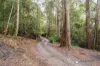 2/500 Resolution Rd, Adventure Bay, Tas 7150-Image