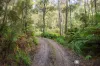 2/500 Resolution Rd, Adventure Bay, Tas 7150-Image