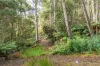 2/500 Resolution Rd, Adventure Bay, Tas 7150-Image