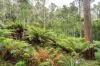 2/500 Resolution Rd, Adventure Bay, Tas 7150-Image